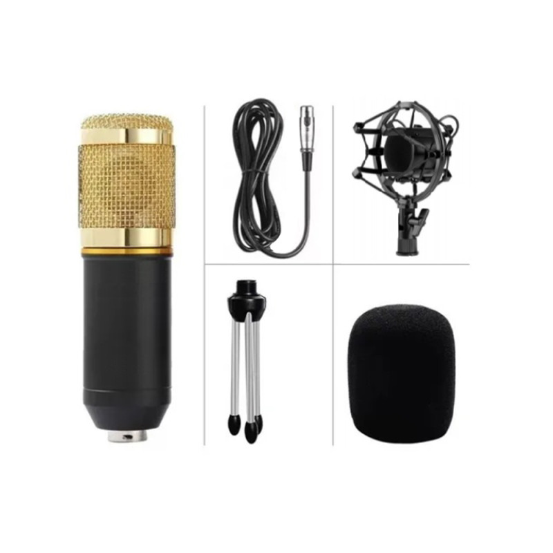 Kit de microfono profesional + Filtro